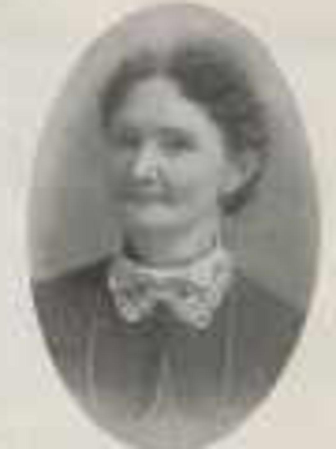 Ann Louisa Pratt (1840 - 1924) Profile